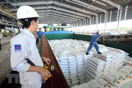 Gas-power-fertiliser complex – major contributor to Ca Mau province