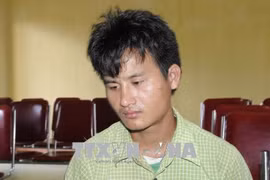 Nghe An seizes 3,000 synthetic pills trafficked from Laos