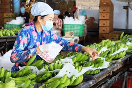 Ninh Binh farmers say No to dirty food 