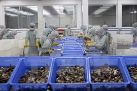 Phu Yen pours over 2.1 trillion VND into aquaculture