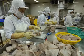 Aquatic product exports likely to rake in 9 billion USD this year