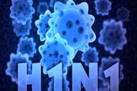 Ca Mau: one patient has died of A/H1N1 flu