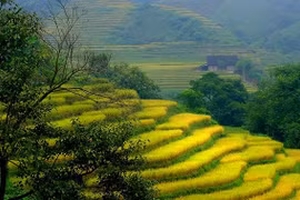 Bat Xat Fall Festival 2018 kicks off in Lao Cai