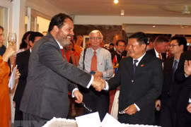 HCM City event marks 45th anniversary of Vietnam-Netherlands ties