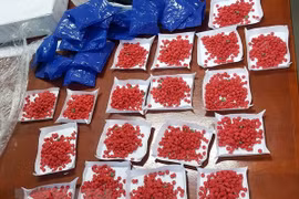 Thanh Hoa police arrest drug traffickers 