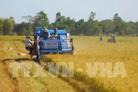 Agro businesses seek to overcome barriers to Europe