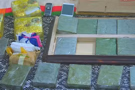 Drugs smuggler arrested in Son La