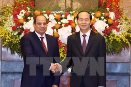 High level visits to shape basis for stronger Vietnam-Egypt ties