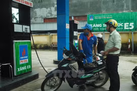 Customers’ awareness of E5 fuel needs to be raised: officials