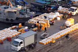 Minister: Vietnam’s economy not likely to see crisis next year