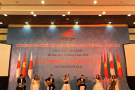 Japan treasures cooperation with Vietnam: Ambassador