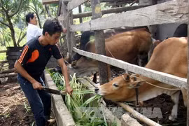 Tien Giang to step up sustainable poverty reduction 