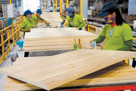 Forestry exports estimated to exceed 5.8 billion USD in 8 months