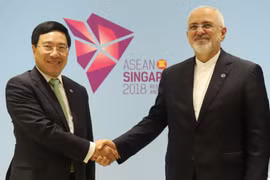 Vietnamese Deputy PM meets with top diplomats of Japan, Iran
