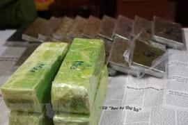 Drug ring busted in central Nghe An province 