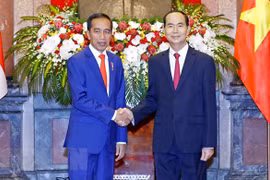 Vietnam, Indonesia issue joint statement