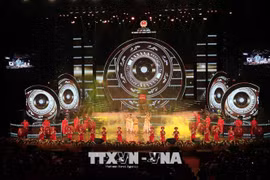 Events arranged for overseas Vietnamese at home