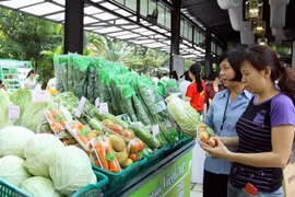 Nearly 80 percent of fruit stores in Hanoi meet safety standards