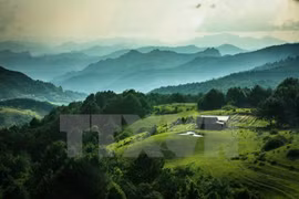 Phia Oac-Phia Den National Park set up to protect biodiversity