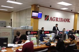 Agribank enhances cooperation with Japan’s Yanmar Group