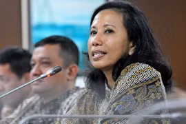 Indonesia calls on investors to invest in 80 projects 
