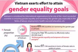 Vietnam makes great strides in promoting gender equality 