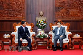 Vietnamese, Lao fronts tighten cooperation 