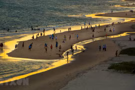 Vietnam Int’l Travel Mart project receives approval