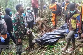 Eight killed in plane crash in Indonesia
