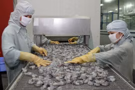 Vietnam bolsters agricultural exports amid growing protectionism