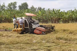 Vietnam’s agricultural sector records progress 