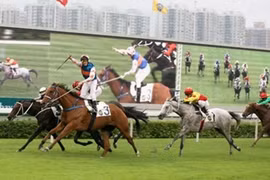 Hanoi to build 500 million USD horse racing track