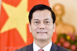 Vietnam-US ties see remarkable progress in all fields: Ambassador