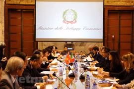 Vietnam, Italy seek effective economic cooperation