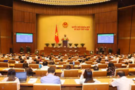 Legislators adopt draft revised National Defence Law 