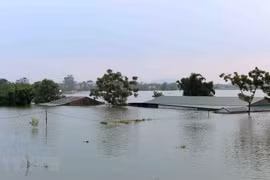 Hanoi moves to address flood impact in suburbs