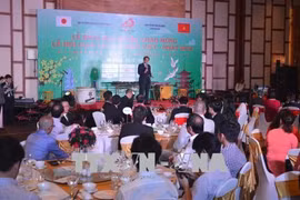 Da Nang hosts Vietnam - Japan cultural exchange festival