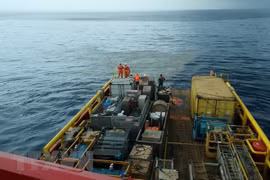 No Vietnamese citizens onboard crashed Indonesian plane