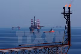 Vietsovpetro to reduce 2,200 employees by 2020