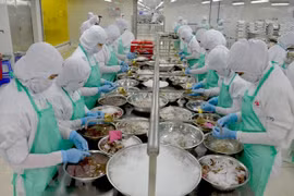 Agricultural sector looks to surpass assigned targets 