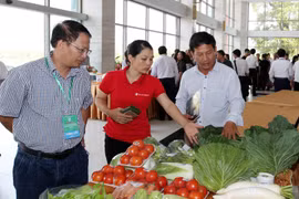  Lao Cai boosts farm produce trade with China’s Yunnan 