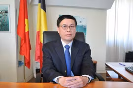 Visits help enhance Vietnam-Belgium ties