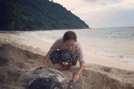 Con Dao Island pioneers sea turtle protection