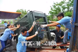 Businesses join hands to fight wildlife crime