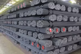 Vietnam-Italy Steel JSC to up foreign ownership 