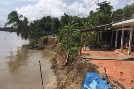 Mekong Delta needs ecosystem-based solutions to climate change