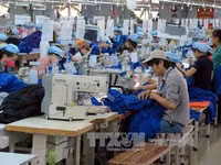 Trade promotion programmes improved to boost exports