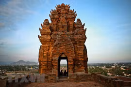 Ninh Thuan province works to develop cultural tourism