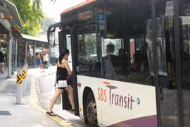 Singapore pilots on-demand public bus service