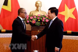 Vietnam, Timor-Leste FMs discuss measures to step up relations